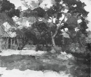 Farm buildings in Het Gooi, veiled by trees