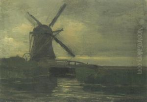 Broekzijder mill in the evening