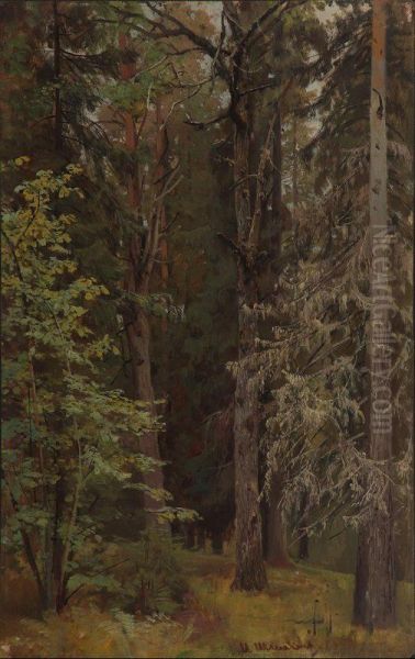 Mixed forest Oil Painting by Ivan Shishkin