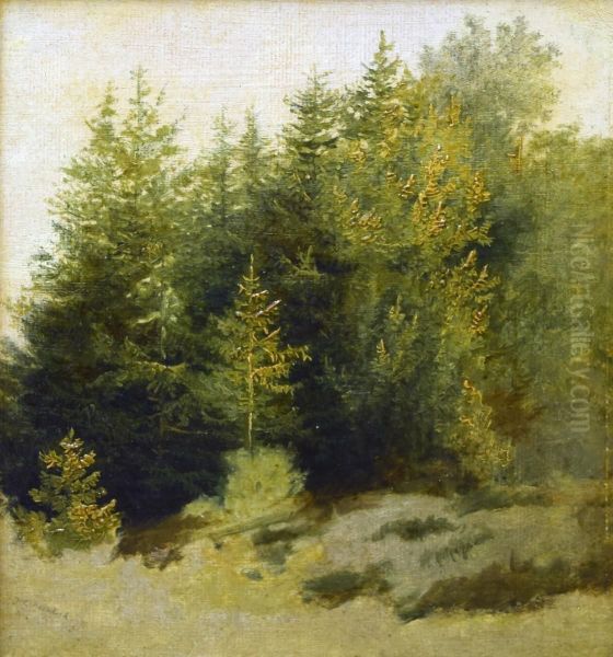Landscape, Study in Oil Oil Painting by Barend Cornelis Koekkoek