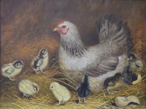 Hen with Baby Chicks Hen with Baby Chicks