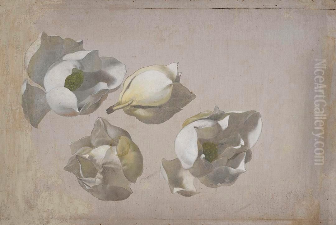 Study of Four Magnolia Blossoms Oil Painting by Martin Johnson Heade