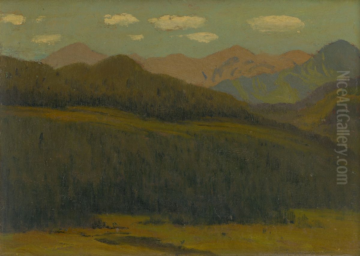 Krajina Oil Painting by Nandor Katona