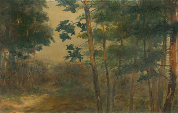 Lesny priehlad Oil Painting by Elemir Halasz-Hradil