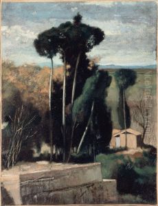 Paysage d'Italie. Pins parasols