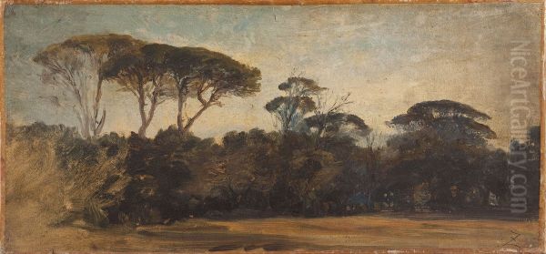 Pins parasols aux environs de Naples Oil Painting by Felix Ziem