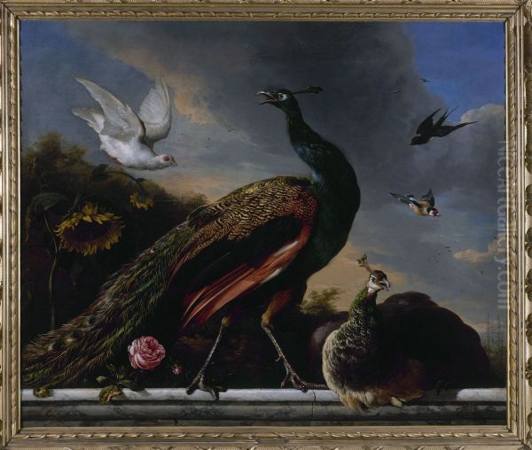 Paons, male et femelle Oil Painting by Melchior D'Hondecoeter