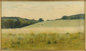 Dans les champs de Dielette (Manche)