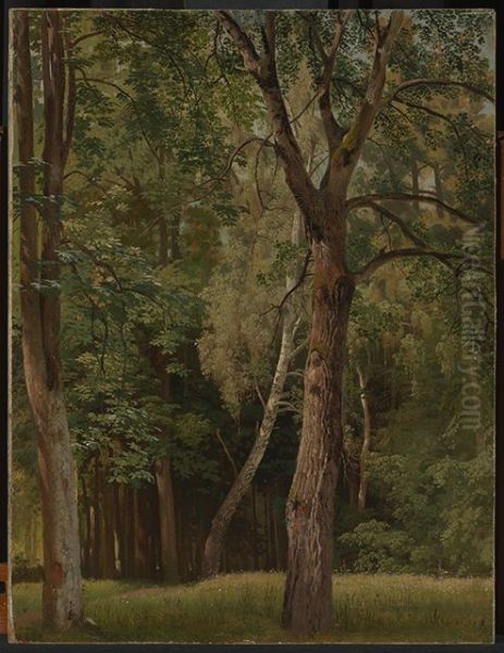 Laubwald mit Kastanien und Birken Oil Painting by Johann Wilhelm Schirmer