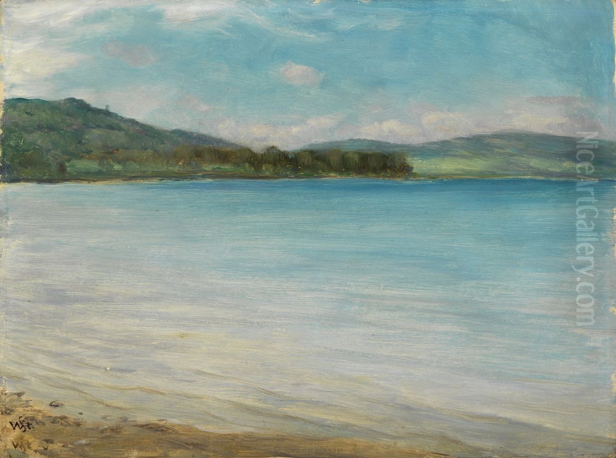 At the Lake Constance Oil Painting by Wilhelm Steinhausen