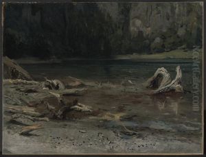 Der Feldsee