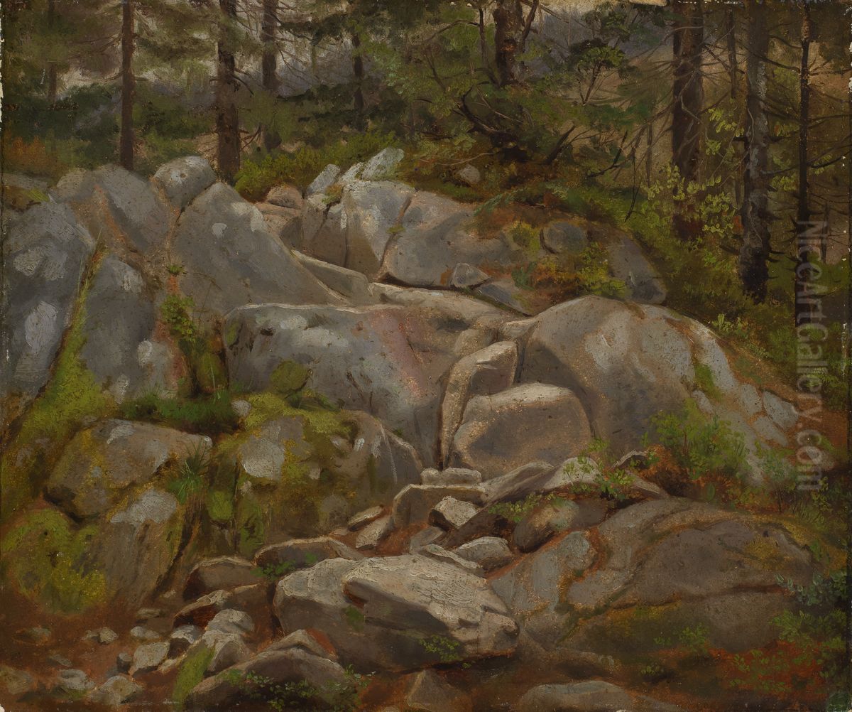 Felsblocke mit Tannenstammen Oil Painting by Hans Thoma
