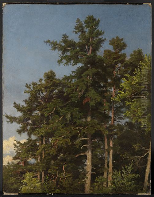 Eichenwipfel Oil Painting by Emil Lugo