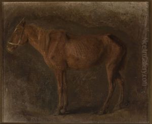 Study of a horse Study of a horse