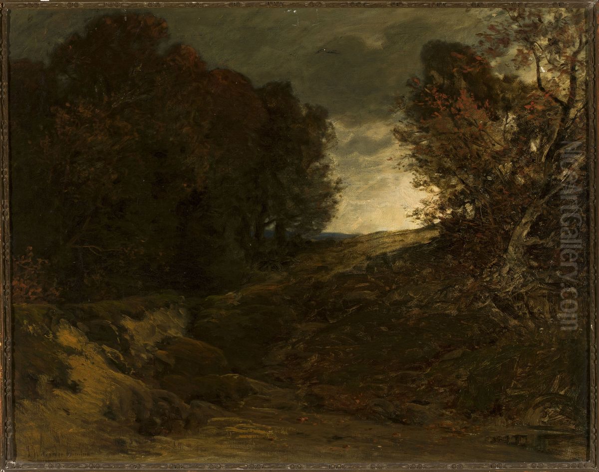 Forest landscape with a creek Oil Painting by Ludwig Willroider