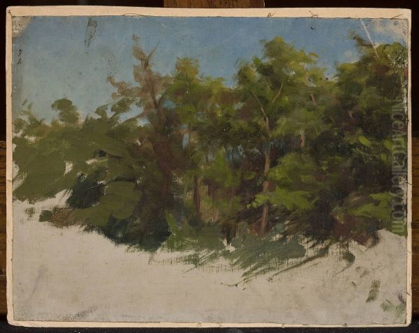 Study from Podolia Oil Painting by Jan Ciaglinski