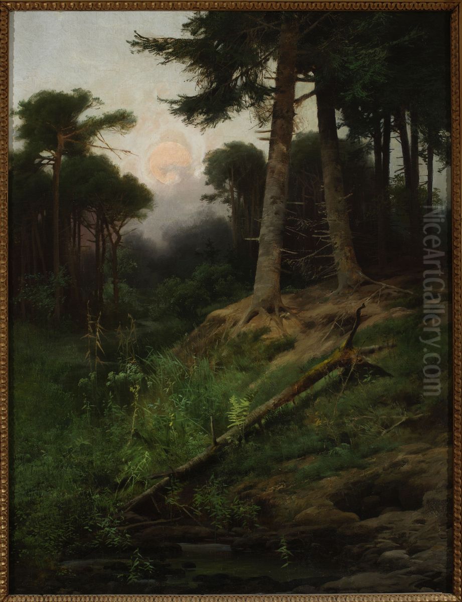 Forest landscape at sunrise Oil Painting by Tadeusz Popiel