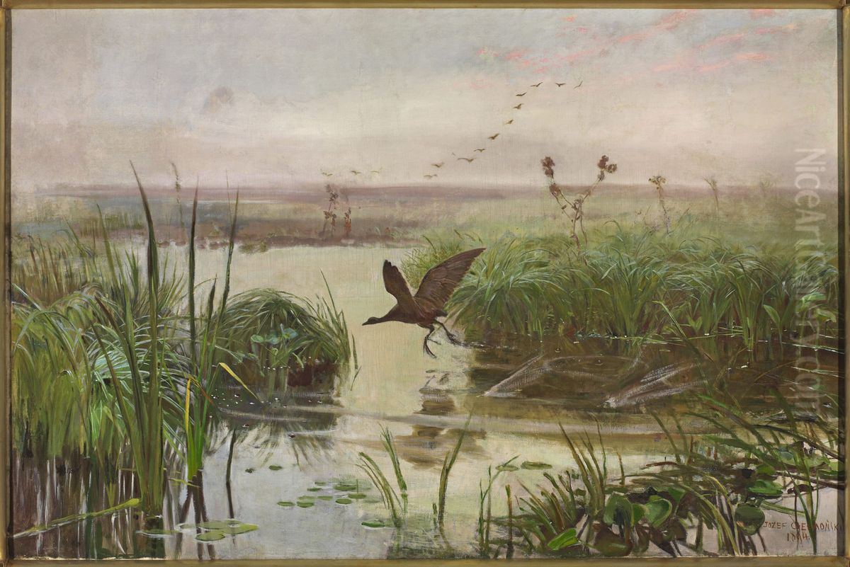 Common moorhen Oil Painting by Jozef Chelmonski