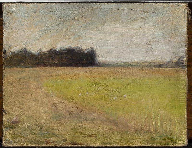 Landscape in Finland /?/ Oil Painting by Jan Ciaglinski