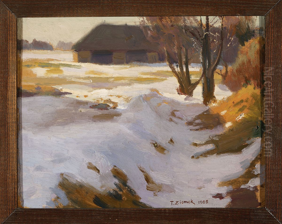 Winter thaw Oil Painting by Teodor Ziomek