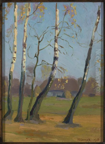 Birch trees near a village Oil Painting by Teodor Ziomek