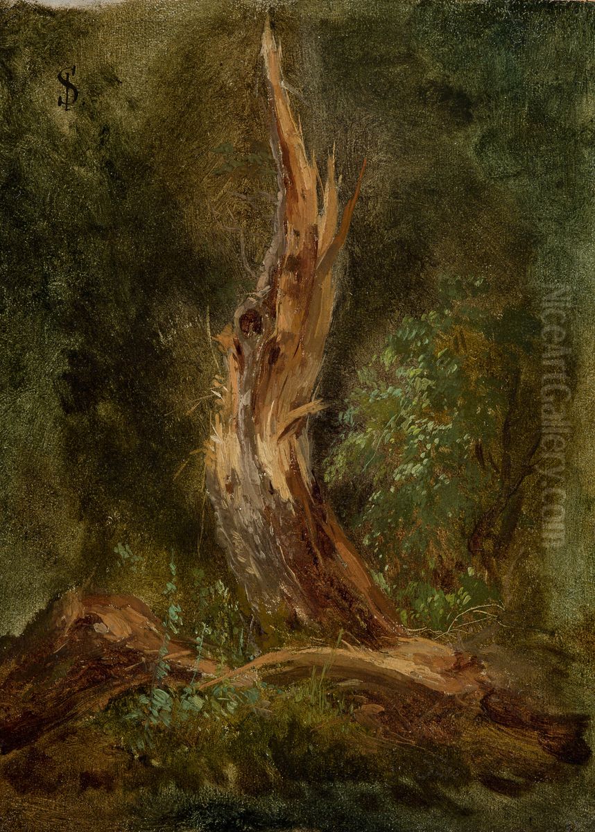 Volhynian Forest Oil Painting by Jozef Szermentowski