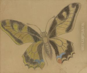 Butterfly (Old World Swallowtail)