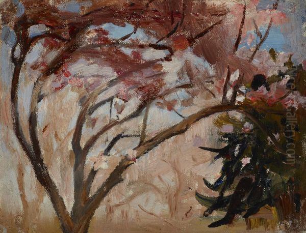 Crimea (Magnolia) Oil Painting by Jan Ciaglinski