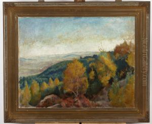 Autumn Landscape - Environs of Kalwaria Zebrzydowska