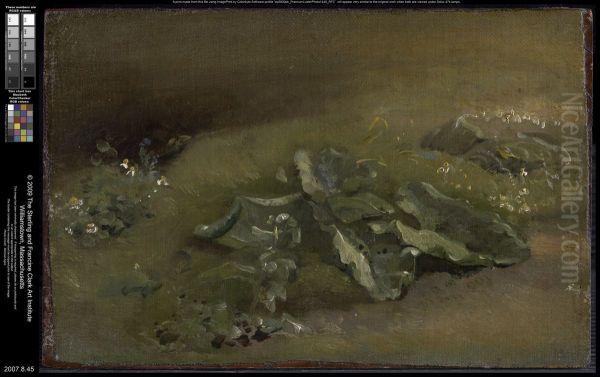 Study of a Burdock Oil Painting by John Constable