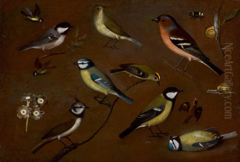 STILL LIFE OF BIRDS, INCLUDING A MARSH TIT, CHIFFCHAFF, CHAFFINCH, BLUE TITS, GOLDCREST, LAPWING AND A GREAT TIT Oil Painting by unknown