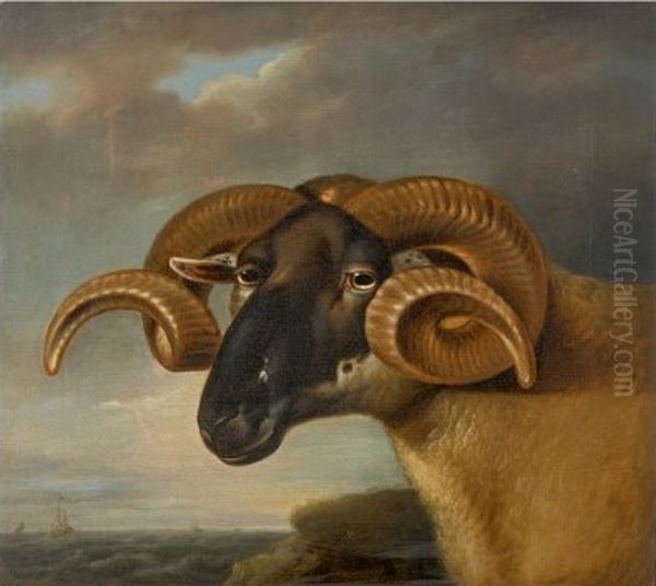 HEAD OF A BLACK FACED RAM, FACING LEFT, A SEASCAPE BEYOND Oil Painting by unknown
