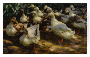 DUCKS IN SUNLIGHT
