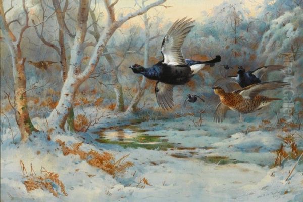 BLACK GROUSE IN FLIGHT IN A WINTER WOODLAND Oil Painting by unknown