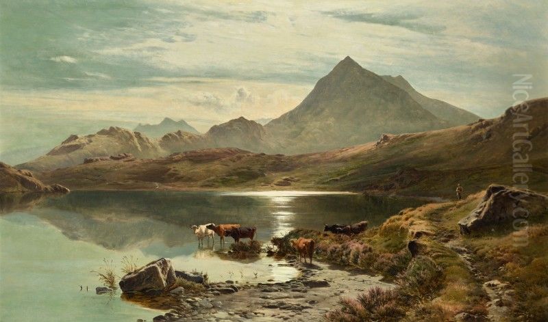 LLYN Y CWN FLYNNON, NORTH WALES Oil Painting by unknown