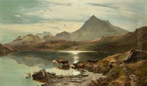 LLYN Y CWN FLYNNON, NORTH WALES