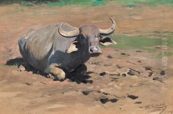 Resting Buffalo Oil Painting by unknown