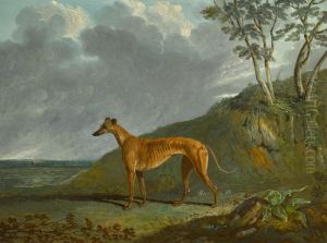 A brindle Greyhound bitch in a landscape