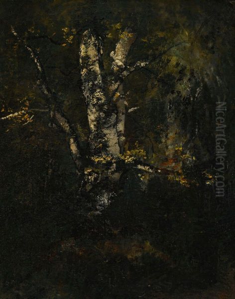 VIEUX TRONCS DE HETRES Oil Painting by unknown