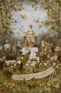 SOCIETE PROTECTRICE DES ANIMAUX