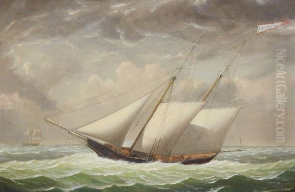 SCHOONER 