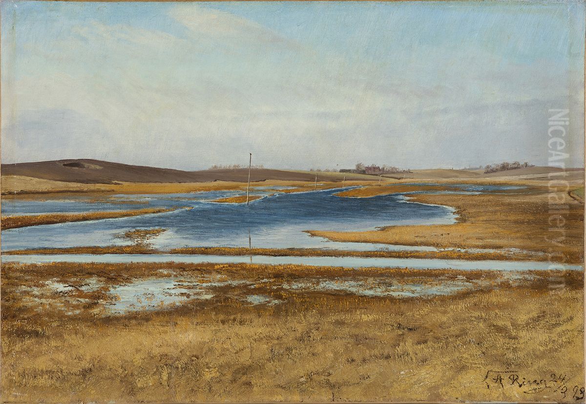 Oversvommet eng. I baggrunden bakker. Solskin. Naestvedegnen Oil Painting by Laurits Andersen Ring