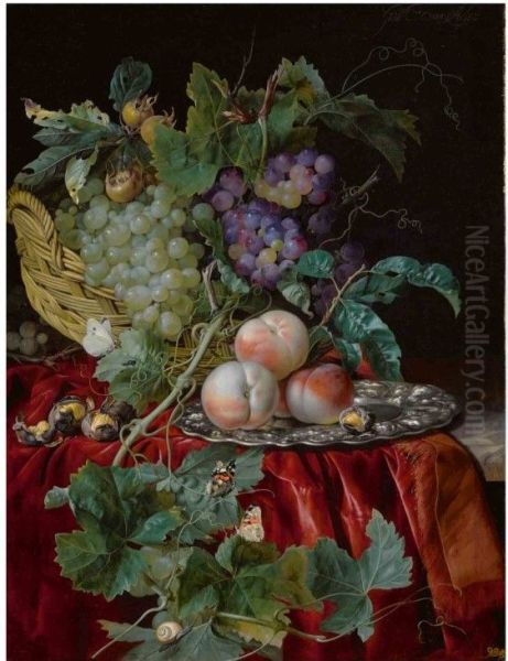 Still life with grapes in a basket, peaches on a silver dish, medlars, two butterflies, a fly and a snail, all on a red velvet cloth over a partially draped ledge Oil Painting by Willem Van Aelst
