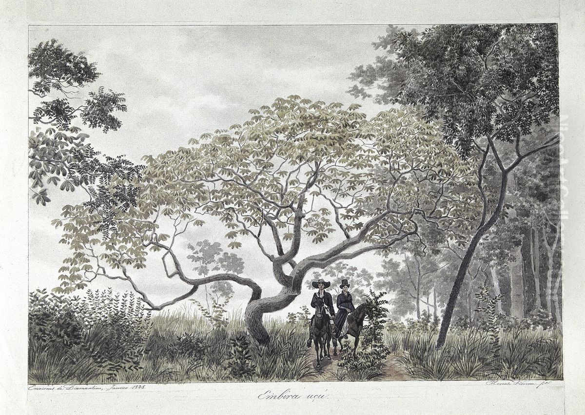 Embira ucu. Oil Painting by Hercules Florence