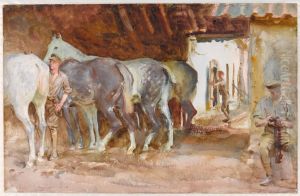 Scots Greys