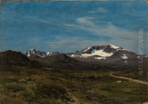 The Mountain Plateau of Dovre