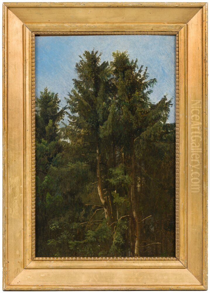 Trees. Study Oil Painting by Francesco Solimena