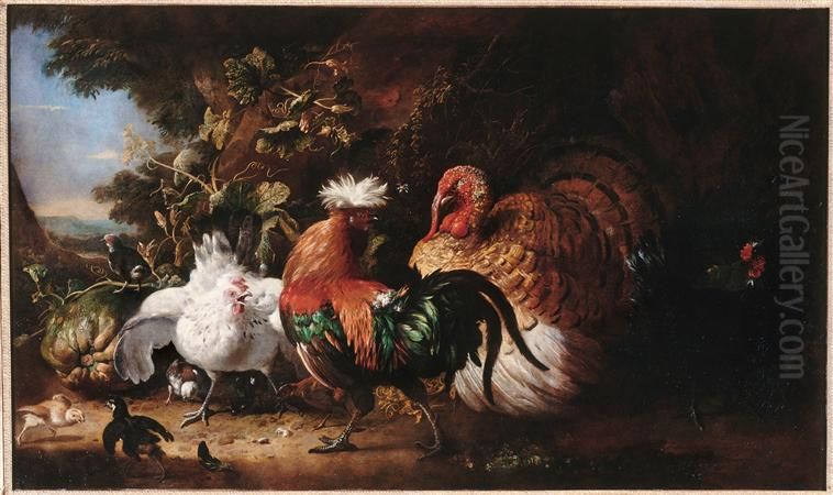 Oiseaux de basse-cour Oil Painting by Melchior D'Hondecoeter