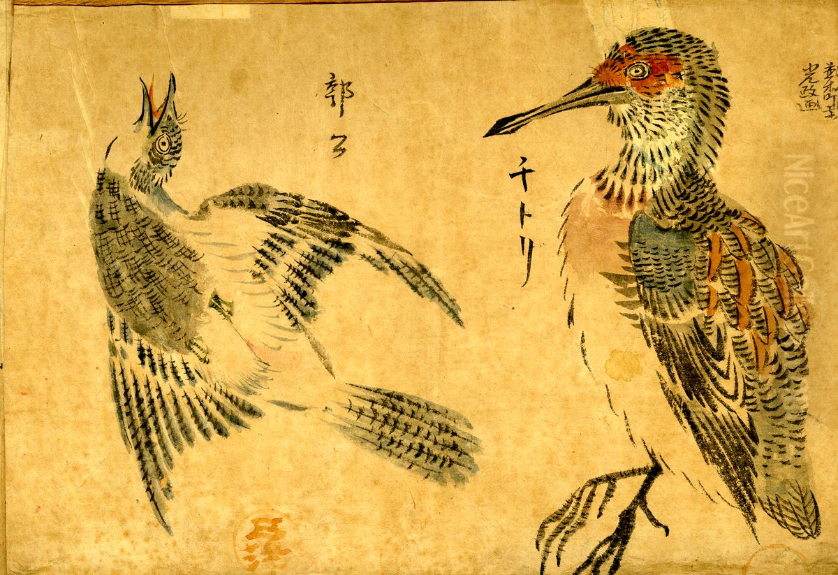 Wakakusa, Album of bird studies. Oil Painting by Ikeda Mitsumasa
