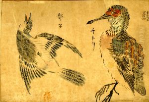 Wakakusa, Album of bird studies.